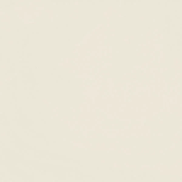 60x60 VM6500 Polished Tiles
